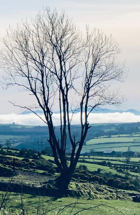 The Collins,Our View From The Top Listowel ภายนอก รูปภาพ